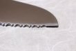 Photo9: MASAHIRO Japanese Knife for frozen food molybdenum BANAJIUMU stainless 200mm (9)