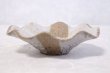 Photo6: Bizen ware pottery bowl white glaze hana hidasuki Tomoyuki Oiwa (6)