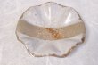 Photo9: Bizen ware pottery bowl white glaze hana hidasuki Tomoyuki Oiwa (9)