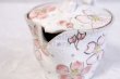 Photo6: Seto pottery Kobiki Sakura kobiki Japanese tea pot made by Afuku Kiln 250ml (6)