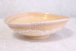 Photo1: Hagi ware Japanese Serving bowl Shizuku Dew(large) W255mm (1)