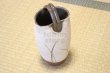 Photo9: Shigaraki pottery Japanese vase teoke teoke hakudei H 24cm (9)