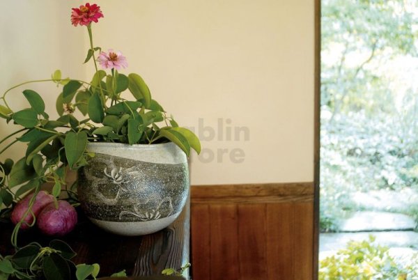 Photo1: Shigaraki Japanese pottery Vase tsuchi gosuhanabori L  H 17cm (1)