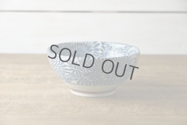 Photo2: Japanese Rice Soup Noodle bowl Donburi Mino ware tako karakusa D185mm  (2)