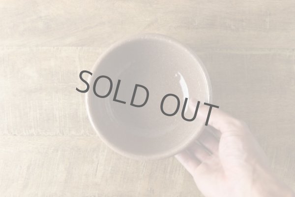 Photo2: Japanese Rice Soup Noodle bowl Donburi Mino ware ichin fish D150mm  (2)