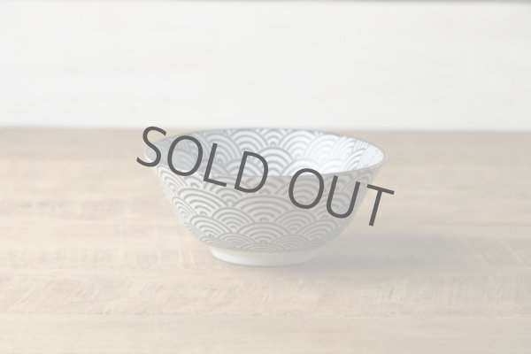 Photo2: Japanese Rice Soup Noodle bowl Donburi Mino ware seikaiha D153mm  (2)