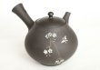 Photo3: Tokoname Japanese tea pot kyusu YT black butterfly sakura Seiho 180ml (3)