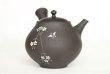 Photo2: Tokoname Japanese tea pot kyusu YT black butterfly sakura Seiho 180ml (2)