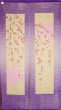Photo1: Noren Japanese Curtain Doorway NM SD purple window sakura cherry 85 x 150 cm (1)