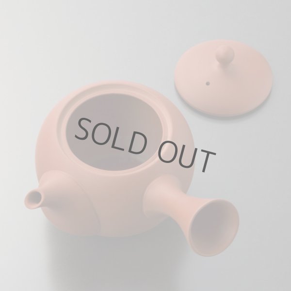 Photo4: Tokoname tea pot kyusu Jinsui Kiwami shudei red sakura cherry 270ml (4)