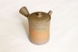 Photo1: Tokoname ware Japanese tea pot Gyokko ceramic tea strainer yakishime st 230ml (1)