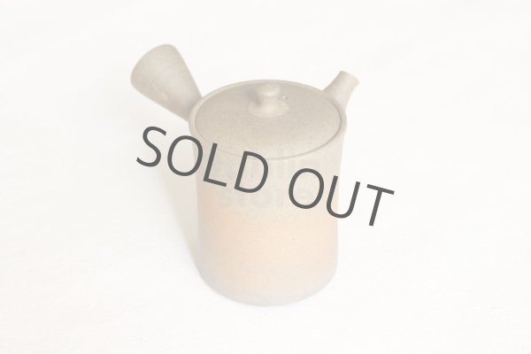 Photo1: Tokoname ware Japanese tea pot Gyokko ceramic tea strainer yakishime st 230ml (1)