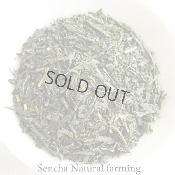 Photo1: Natural farming Premium Sencha Japanese green tea Watarai Ise 100g (1)