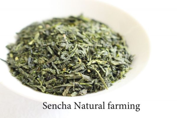 Photo2: Natural farming Premium Sencha Japanese green tea Watarai Ise 100g (2)