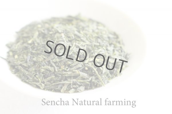 Photo2: Natural farming Premium Sencha Japanese green tea Watarai Ise 100g (2)