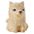 Photo9: Shiba inu dog Shigaraki pottery Japanese doll mame H7cm (9)