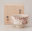 Photo1: Mino Japanese matcha tea bowl chawan Shino kikko Bizan kiln hexagonal pattern (1)