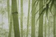 Photo3: Noren CSMO Japanese door curtain bamboo green 85 x 170cm (3)