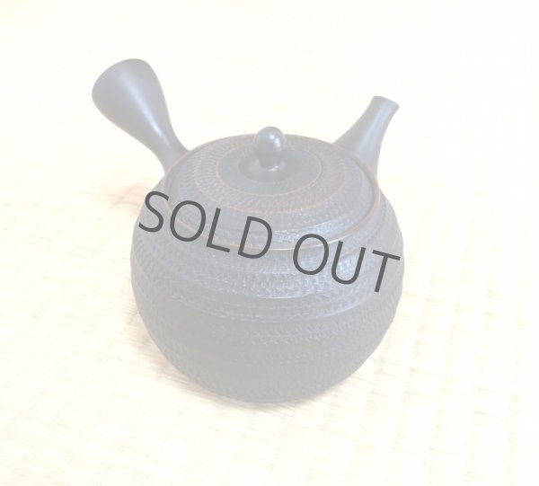 Photo1: Tokoname ware Japanese tea pot kyusu ceramic strainer sendan Gyokko 470ml (1)