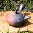 Photo1: Tokoname Japanese tea pot kyusu Isshin carved yohen 280ml (1)