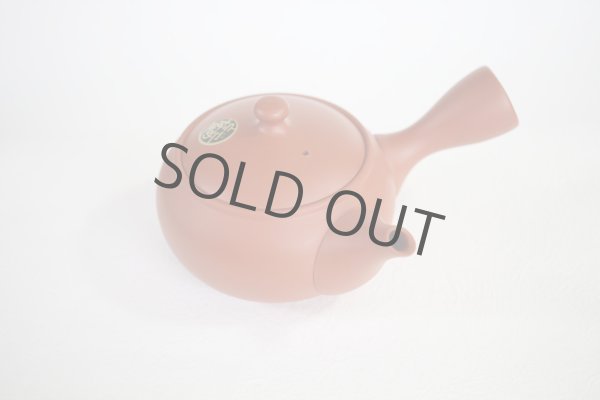 Photo6: Tokoname tea pot kyusu Jinsui Kiwami shudei red shin maru 250ml (6)
