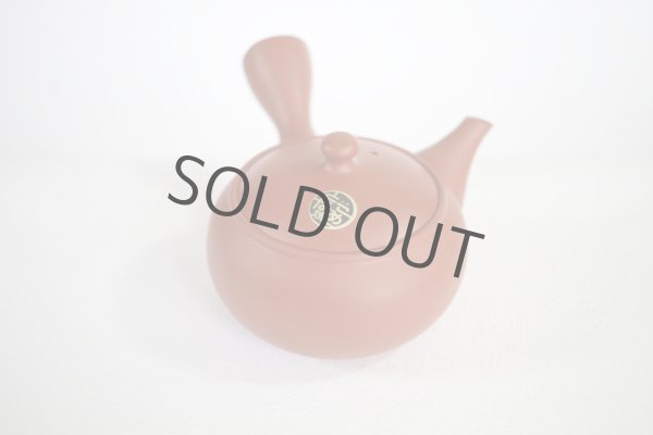 Photo5: Tokoname tea pot kyusu Jinsui Kiwami shudei red shin maru 250ml (5)