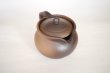 Photo9: Shikou tea pot Japanese Fujiso pottery banko Yakishime 280 ml (9)