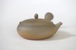 Photo3: Tokoname Japanese tea pot Gyokko pottery tea strainer flat shape yakishime 210ml (3)
