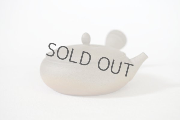 Photo3: Tokoname Japanese tea pot Gyokko pottery tea strainer flat shape yakishime 210ml (3)
