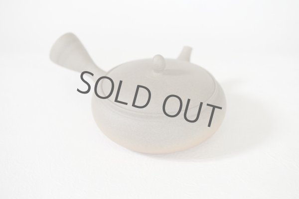 Photo4: Tokoname Japanese tea pot Gyokko pottery tea strainer flat shape yakishime 210ml (4)