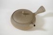 Photo1: Tokoname Japanese tea pot Gyokko pottery tea strainer flat shape yakishime 210ml (1)