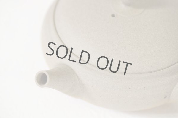 Photo8: Tokoname Japanese tea pot Gyokko pottery tea strainer flat shape yakishime 210ml (8)