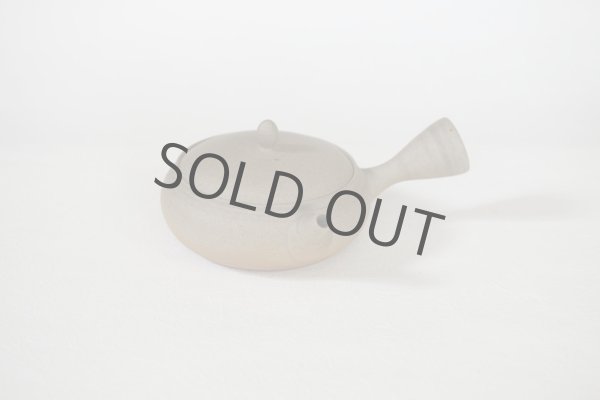 Photo2: Tokoname Japanese tea pot Gyokko pottery tea strainer flat shape yakishime 210ml (2)