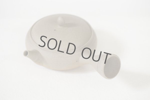 Photo7: Tokoname Japanese tea pot Gyokko pottery tea strainer flat shape yakishime 210ml (7)