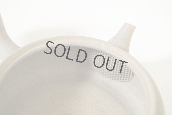 Photo5: Tokoname Japanese tea pot Gyokko pottery tea strainer flat shape yakishime 210ml (5)