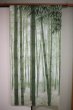 Photo1: Noren CSMO Japanese door curtain bamboo green 85 x 170cm (1)