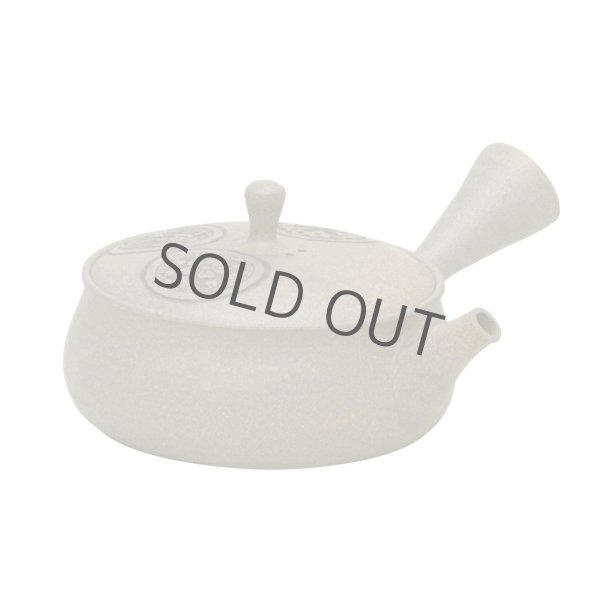 Photo2: Tokoname Japanese tea pot Gyokko flower carved flat shape yakishime 120ml (2)