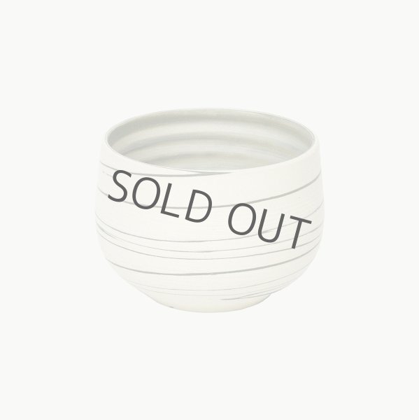 Photo3: Tokoname yaki ware Japanese tea pot Tosen white marble ceramic tea strainer 250ml (3)