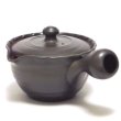 Photo3: Tokoname yaki ware Japanese tea pot Tukumo ceramic tea strainer 310ml (3)