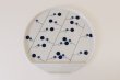 Photo8: Arita Porcelain dinnerware plate washi wamon indigo blue any type W22cm (8)