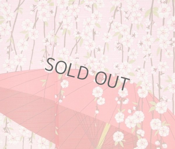 Photo3: Noren Japanese Curtain Doorway NM SD wagasa sakura cherry 85 x 150 cm (3)