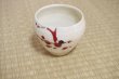 Photo11: Shigaraki pottery Japanese matcha tea bowl chawan ippuku red akae (11)