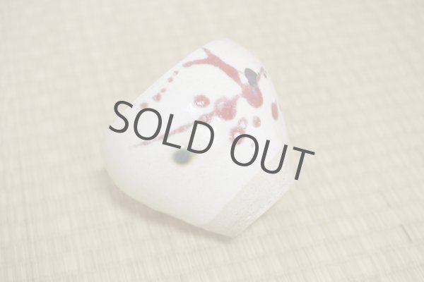Photo10: Shigaraki pottery Japanese matcha tea bowl chawan ippuku red akae (10)