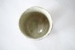 Photo4: Hagi ware Japanese pottery tea cup yunomi kobiki Kashun Mukuhara 320 ml (4)