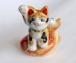 Photo1: Japanese Lucky Cat Kutani Porcelain Maneki Neko porgy Tai nori kenaga H15.5cm (1)