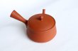 Photo9: Tokoname tea pot kyusu Gyokko pottery tea strainer red shudei flat hira 160ml (9)