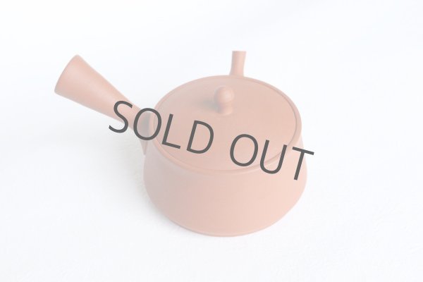 Photo9: Tokoname tea pot kyusu Gyokko pottery tea strainer red shudei flat hira 160ml (9)