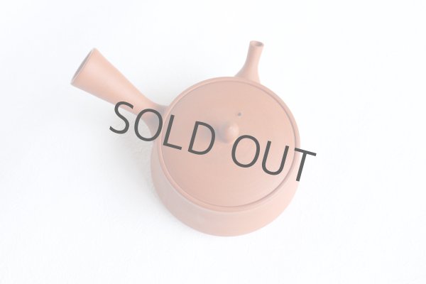 Photo6: Tokoname tea pot kyusu Gyokko pottery tea strainer red shudei flat hira 160ml (6)