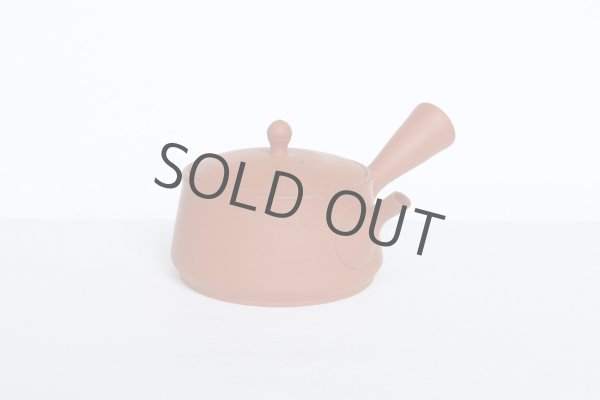 Photo4: Tokoname tea pot kyusu Gyokko pottery tea strainer red shudei flat hira 160ml (4)