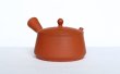 Photo3: Tokoname tea pot kyusu Gyokko pottery tea strainer red shudei flat hira 160ml (3)